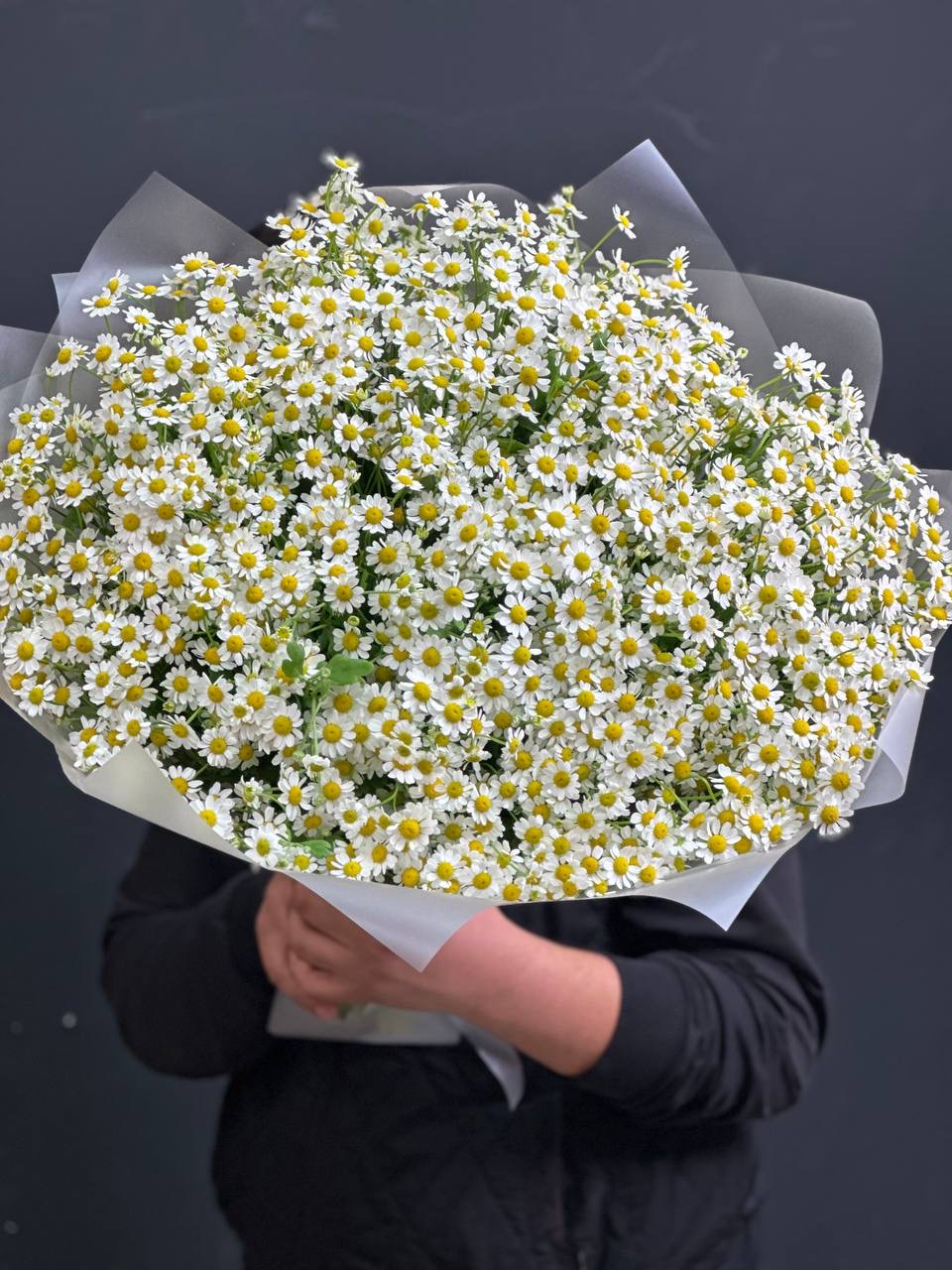 Букет из 51 ромашки Букет из 51 ромашки